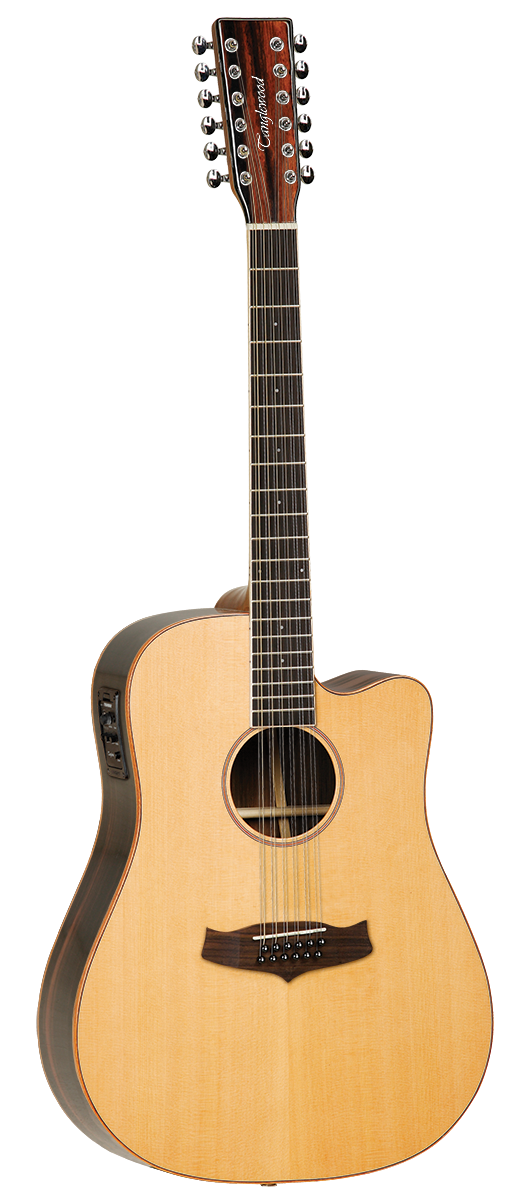 Tanglewood TWJDCE12 Java Dreadnaught 12String Acoustic Guitar The