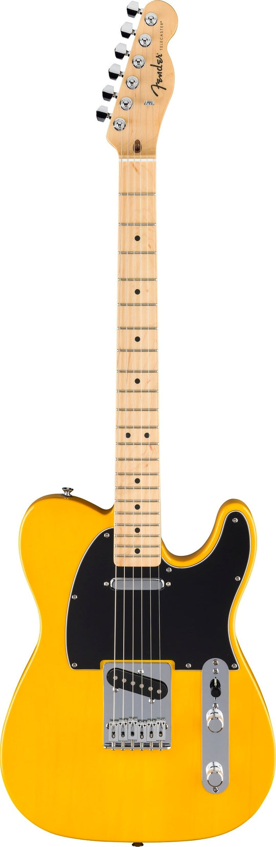 Fender Standard Telecaster Maple Fingerboard Butterscotch 