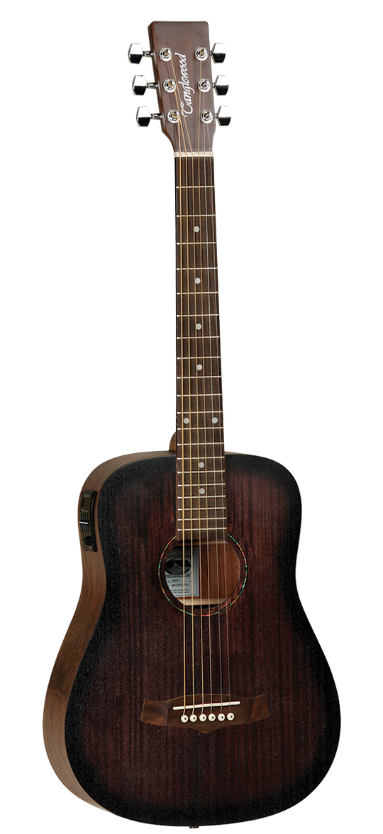 Tanglewood TC2 E Crossroads Traveller w/Pickup