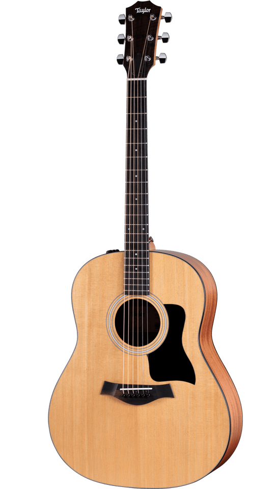 Taylor 117E Sapele