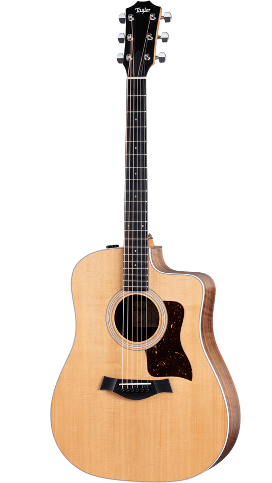 Taylor 210ce