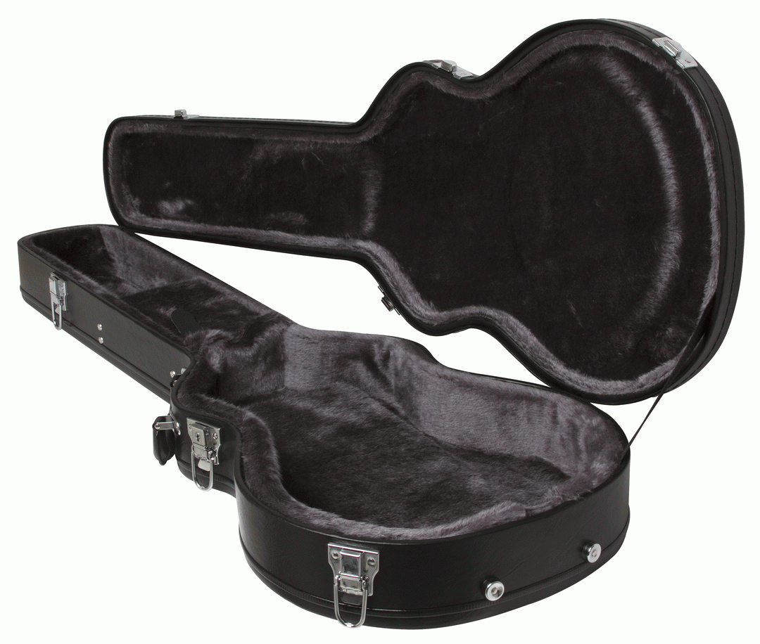 Epiphone soft discount guitar case